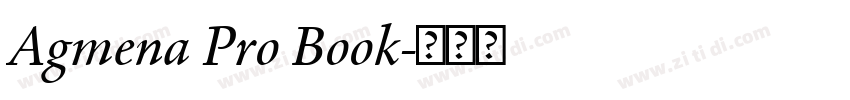 Agmena Pro Book字体转换